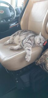 It's a tough life on the road!